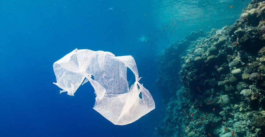 Biorazgradive vrećice čitave nakon 3 godine u moru. Radi li se o prevari?